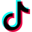 TikTok Icon